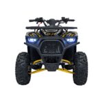 Детско бензиново ATV Renegade Discoverer, 120 cc, 4-тактов двигател - Image 2