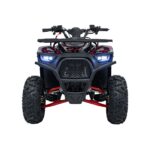 Детско бензиново ATV Renegade Discoverer, 120 cc, 4-тактов двигател - Image 2