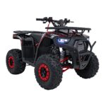 Детско бензиново ATV Renegade Discoverer, 120 cc, 4-тактов двигател - Image 3