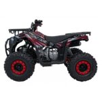 Детско бензиново ATV Renegade Discoverer, 120 cc, 4-тактов двигател - Image 4