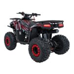 Детско бензиново ATV Renegade Discoverer, 120 cc, 4-тактов двигател - Image 5