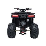 Детско бензиново ATV Renegade Discoverer, 120 cc, 4-тактов двигател - Image 6
