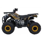 Детско бензиново ATV Renegade Discoverer, 120 cc, 4-тактов двигател - Image 4