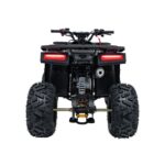 Детско бензиново ATV Renegade Discoverer, 120 cc, 4-тактов двигател - Image 6