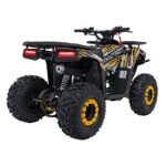 Детско бензиново ATV Renegade Discoverer, 120 cc, 4-тактов двигател - Image 7