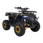 Детско бензиново ATV Renegade Discoverer, 120 cc, 4-тактов двигател - Image 3