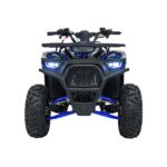 Детско бензиново ATV Renegade Discoverer, 120 cc, 4-тактов двигател - Image 2