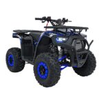 Детско бензиново ATV Renegade Discoverer, 120 cc, 4-тактов двигател - Image 3