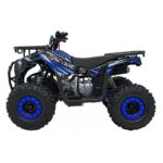 Детско бензиново ATV Renegade Discoverer, 120 cc, 4-тактов двигател - Image 4