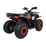 Детско Бензиново ATV Renegade Pro Rider, 4-тактов двигател, 12 V / 9 Ah - Image 9
