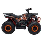 Детско Бензиново ATV Renegade Pro Rider, 4-тактов двигател, 12 V / 9 Ah - Image 10