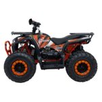 Детско Бензиново ATV Renegade Pro Rider, 4-тактов двигател, 12 V / 9 Ah - Image 8