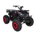 Детско бензиново ATV MONSTER, 200 cc, 4-тактов двигател - Image 7