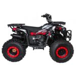 Детско бензиново ATV MONSTER, 200 cc, 4-тактов двигател - Image 3