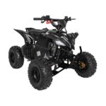 Детско Бензиново ATV, Desert Storm Lift, 125 cc двигател - Image 6