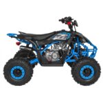 Детско Бензиново ATV, Desert Storm Lift, 125 cc двигател - Image 8